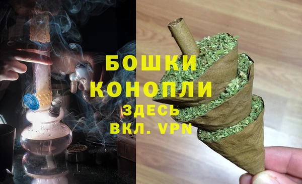 хмурый Нея