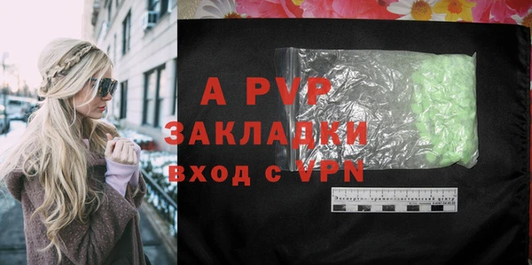 хмурый Нея