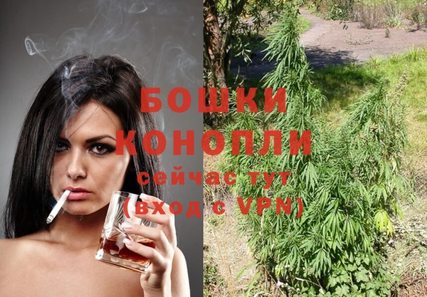 хмурый Нея