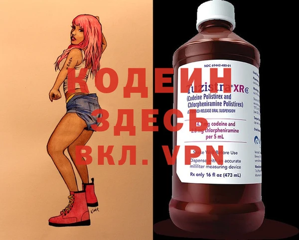 хмурый Нея