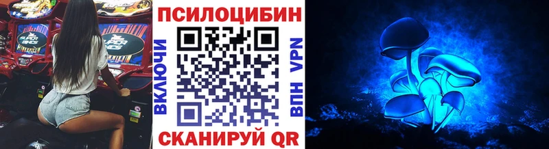 Купить  Славск  Псилоцибиновые грибы MAGIC MUSHROOMS 